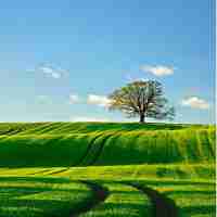 seo关​键​词﻿优﻿化‍经‌验‍技​巧‌